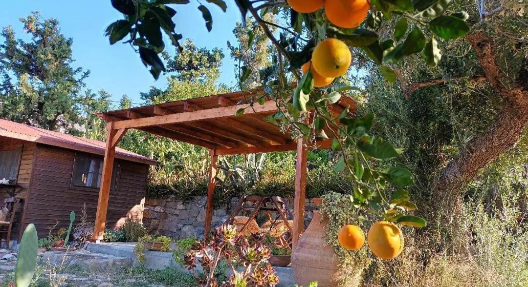 Levantes Garden House - Keratókambos Eksteriør bilde