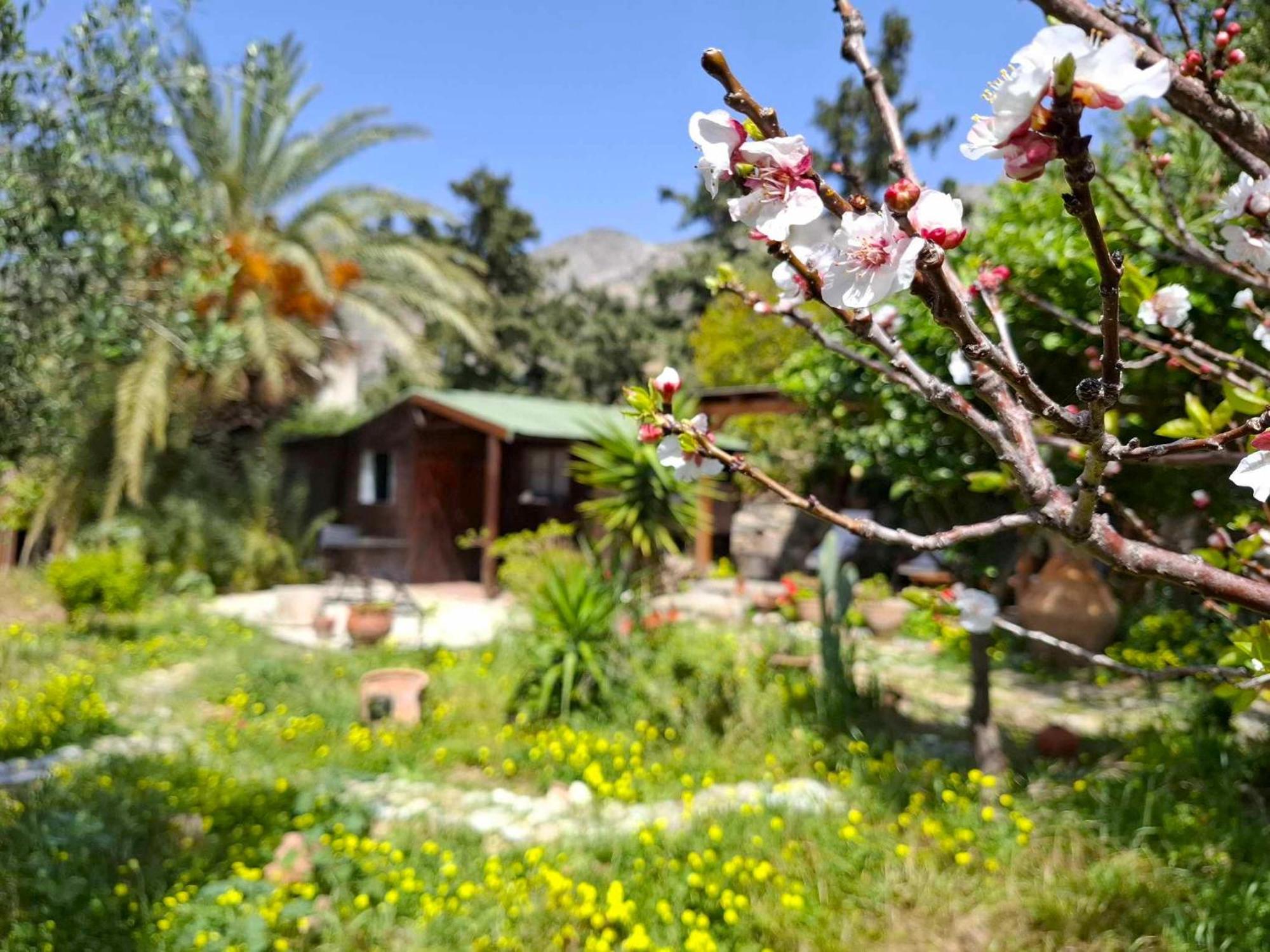 Levantes Garden House - Keratókambos Eksteriør bilde